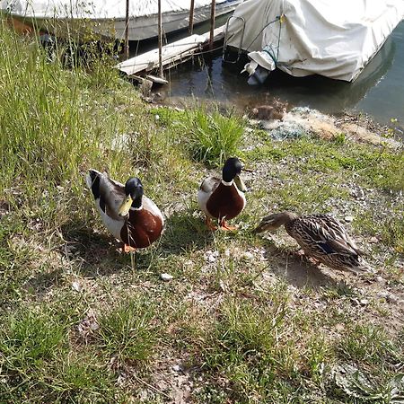 Apartament Le Rondini Torricella  Zewnętrze zdjęcie